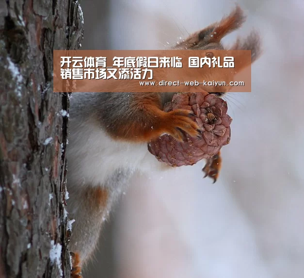 开云体育_年底假日来临 国内礼品销售市场又添活力(图2) 开云体育首页