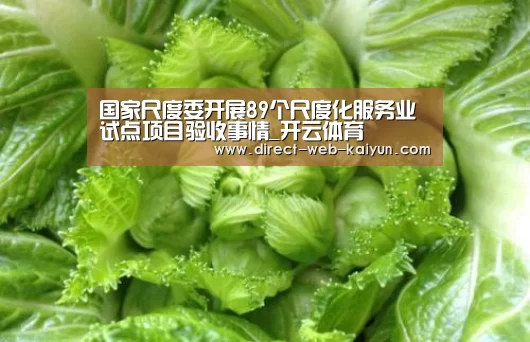 国家尺度委开展89个尺度化服务业试点项目验收事情_开云体育(图2) 开云体育首页