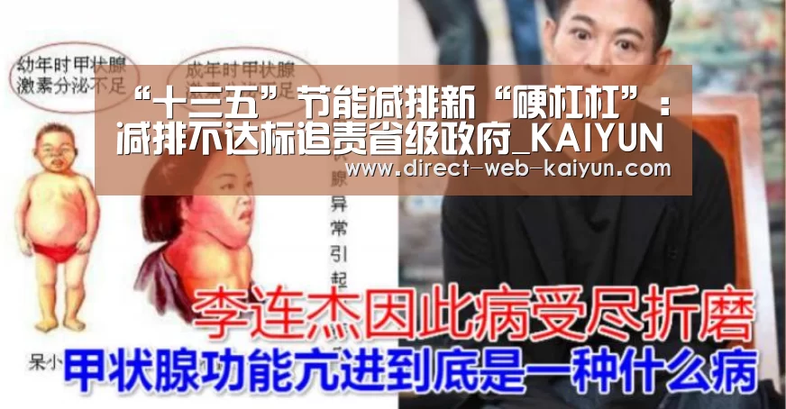 “十三五”节能减排新“硬杠杠”:减排不达标追责省级政府_KAIYUN官网(图1) 开云体育首页