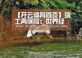【开云体育首页】瑞士再保险:世界经济核心风险进一步上升(图1) KAIYUN官网
