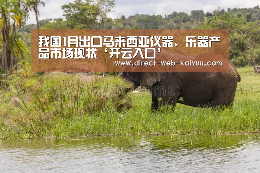 我国1月出口马来西亚仪器、乐器产品市场现状‘开云入口’(图1) KAIYUN官网