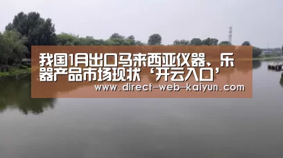 我国1月出口马来西亚仪器、乐器产品市场现状‘开云入口’(图4) 开云体育
