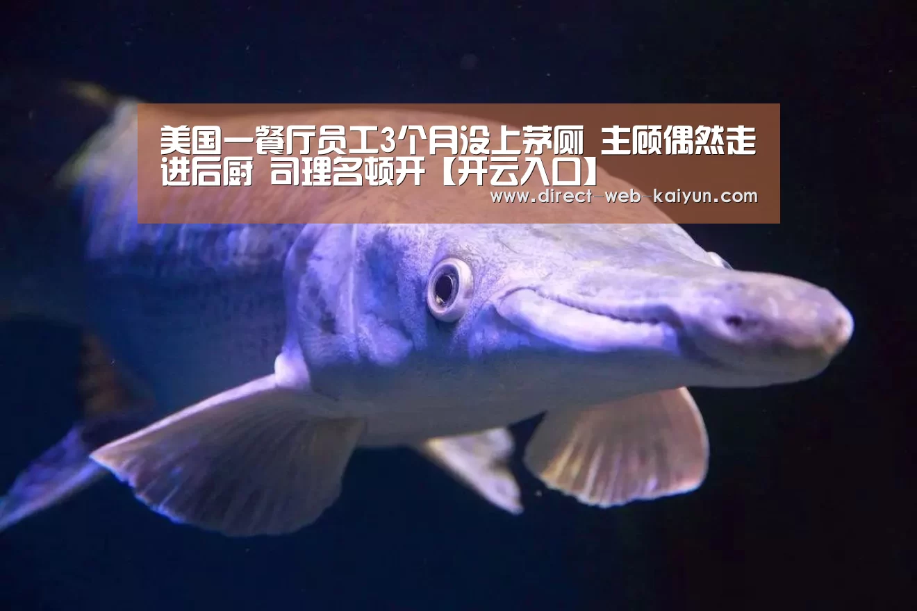 美国一餐厅员工3个月没上茅厕 主顾偶然走进后厨 司理名顿开【开云入口】(图1) 开云体育首页