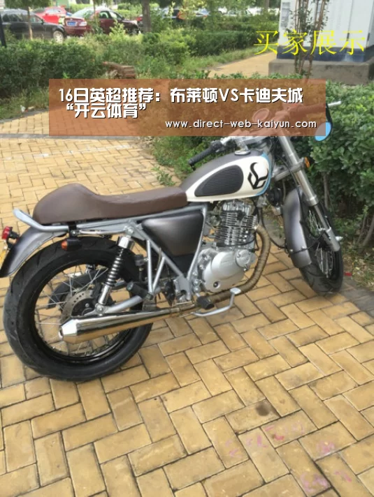 16日英超推荐:布莱顿VS卡迪夫城“开云体育”(图1) 开云体育首页
