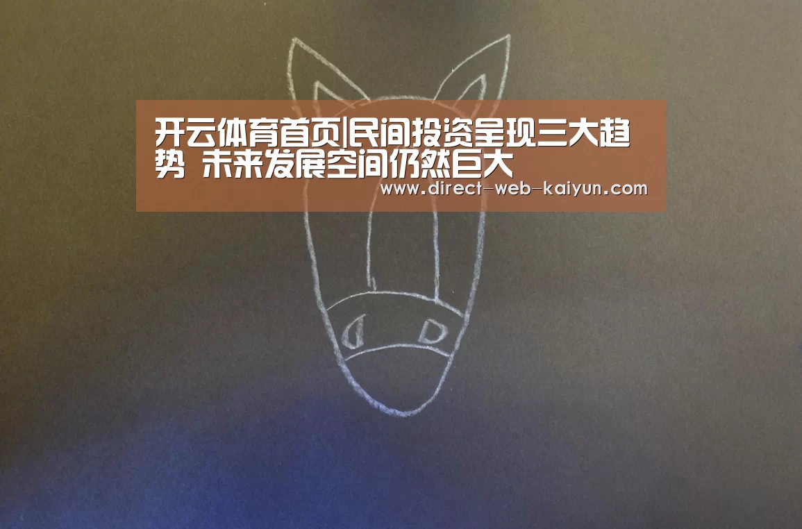 开云体育首页|民间投资呈现三大趋势 未来发展空间仍然巨大(图2) 开云体育首页